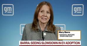 GM CEO Sees Slowdown in EV Adoption