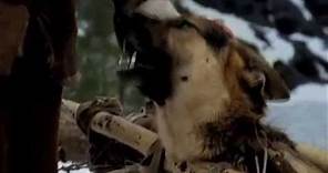 White Fang Trailer