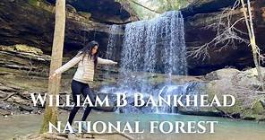 Sougahoagdee and Shangri-La Falls at William B. Bankhead National Forest