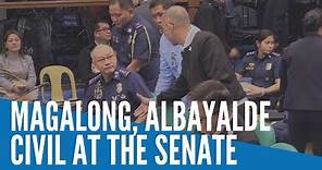 Magalong, Albayalde civil at the Senate