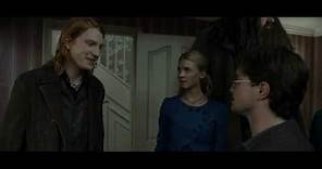 Domhnall Gleeson | Harry Potter and the Deathly Hallows | Bill Weasley