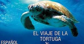 (2009) El viaje de la tortuga Trailer HD [Español]
