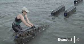 Oyster Farming in the South