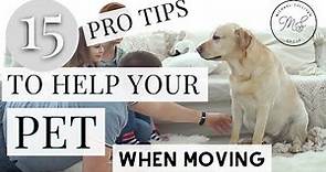 15 Pro Tips When Moving With Pets: HOW TO MAKE MOVING EASY ON YOUR DOG AND CAT; New Home with Pets