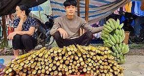 Full video 45 days of harvest, Cucumber, Vegetable, Sugarcane, go to market