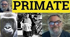 🔵 Primate Meaning - Primates Examples - Primate Definition - Primate