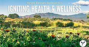 Inside Banyan Botanicals: Igniting Health & Wellness