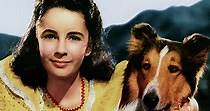 Courage of Lassie streaming: where to watch online?