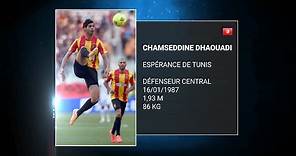 Chamseddine Dhaouadi | 2015 & 2016