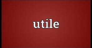 Utile Meaning