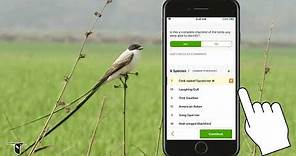Reporting Unusual Birds on eBird Mobile - eBird Essentials