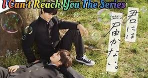 I Can't Reach You The Series Biography