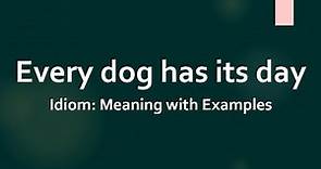 Idiom: Every dog has its day Meaning and Example Sentences