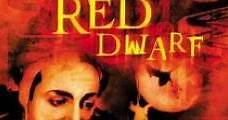 The Red Dwarf (1998) Online - Película Completa en Español / Castellano - FULLTV