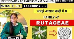 Rutaceae Family 🌼|| Floral diagram and formulas || Taxonomy || Economic importance