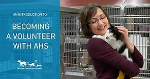 An introduction to volunteering at Animal Humane Society