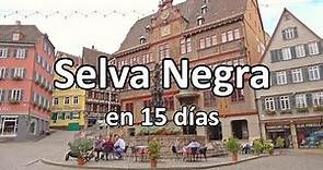 📌 SELVA NEGRA en 15 días (Friburgo, Triberg, Stuttgart...) 🟢 GUÍA DE VIAJE (4K) | Alemania