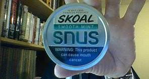 The Skoal Smooth Mint Review