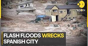 Spanish city of Zaragoza submerged by heavy rainfall & flash floods | WION Climate Tracker