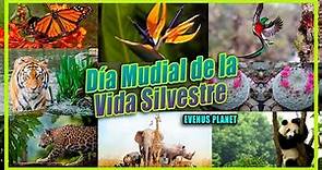 Flora y Fauna Silvestre - Día Mundial de la Vida Silvestre