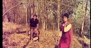 Mohabbat Zindagi Hai 1966 | Full Movie | Dharmendra, Rajshree, Mehmood