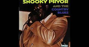 Snooky Pryor - And the Country blues Full album)