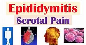 Epididymitis (Scrotal Pain) | Causes, Risk Factors, Signs & Symptoms, Diagnosis, Treatment