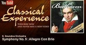 Ludwing Van Beethoven : Symphony No. 5 : Allegro Con Brio - ClassicalExperience