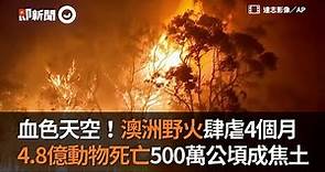 澳洲野火肆虐4個月 4.8億動物死亡500萬公頃成焦土 Bushfires in Australia｜澳洲大火｜國際