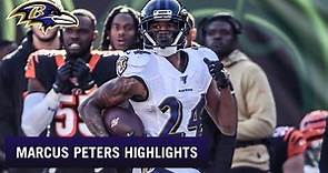 Marcus Peters 2019 Season Highlights | Baltimore Ravens