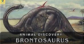 Brontosaurus: Shadows of Giants - Unraveling the Mysteries of the Dinosaur World