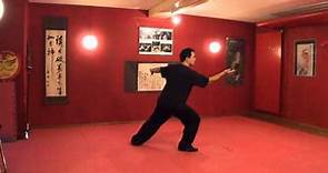 Zonghe Chen Shi Taijiquan