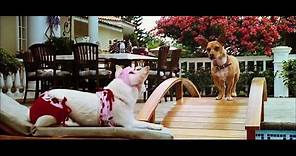 Beverly Hills Chihuahua (2008) Official Trailer