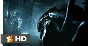 AVP: Alien vs. Predator (2004) - Alien vs. Predator Scene (2/5) | Movieclips