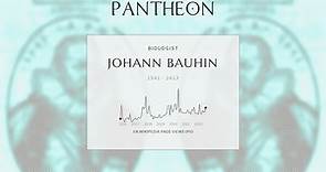 Johann Bauhin Biography - Swiss botanist (1541–1613)