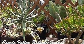 Conejo Valley Botanic Garden Tour