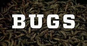 Bugs – Official Trailer