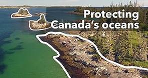 Protecting Canada’s oceans through marine conservation networks