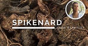 Spikenard - The Oil of the Divine Gateway