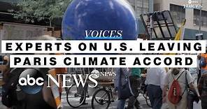 Climate experts discuss US withdrawal from Paris agreement l ABC News