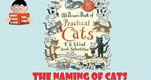 😺 The Naming of Cats poem from Old Possum's Book of Practical Cats read by Books Read Aloud for Kids