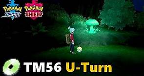 Pokémon Sword and Shield - TM56 U-Turn Location | Where To Find TM56 U-Turn