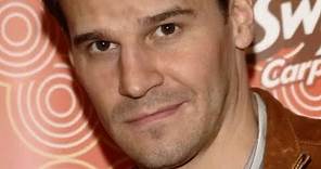 The Transformation Of David Boreanaz