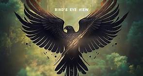Matthew Parker & Jacob Stanifer - Bird's Eye View (Official Lyric Video)