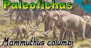 Paleofichas: Mammuthus columbi - el mamífero más grande de América
