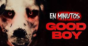 GOOD BOY: El Perro Humano