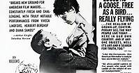 Where to stream An Affair of the Skin (1963) online? Comparing 50  Streaming Services