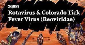 Rotavirus & Colorado Tick Fever Virus (Reoviridae) (Part 1) | Sketchy Medical | USMLE Step 1