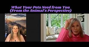 What Your Pets Need from You (From the Animal's Perspective). Karen Anderson