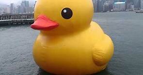 香港尖沙嘴維港巨鴨 Hong Kong Rubber Duck!!